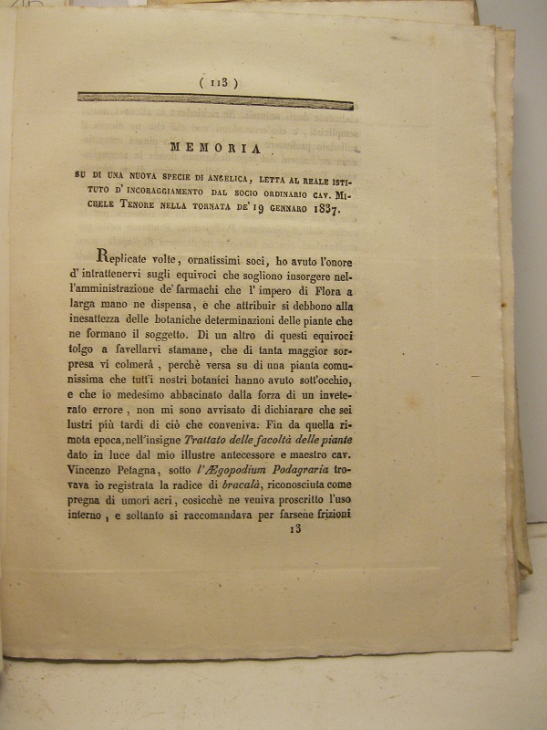 Memoria su di una nuova specie di angelica letta al Reale Istituto d'Incoraggiamento...